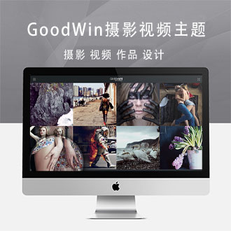 Wordpress主题GoodWin摄影视频主题中文汉化版英文版